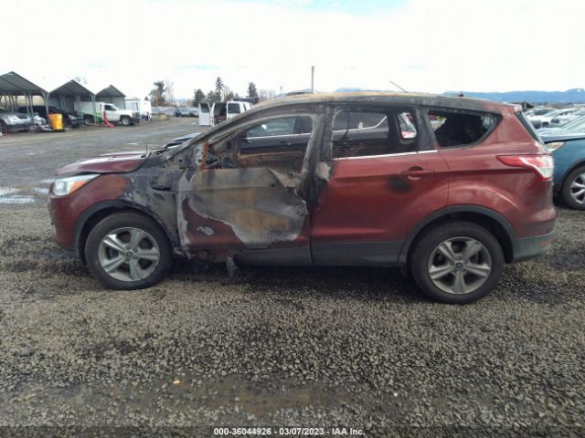 1FMCU0GX2EUB43970 Ford ESCAPE SE