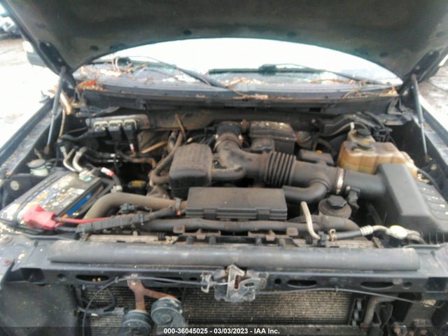 2010 Ford F-150 Xl/xlt/fx4/lariat მანქანა იყიდება აუქციონზე, vin: 1FTFW1EV8AFB47720, აუქციონის ნომერი: 36045025