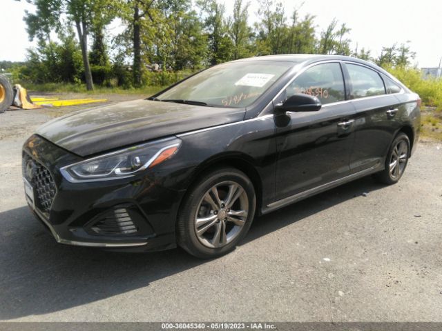 5NPE34AF5JH710992 Hyundai Sonata Sport+