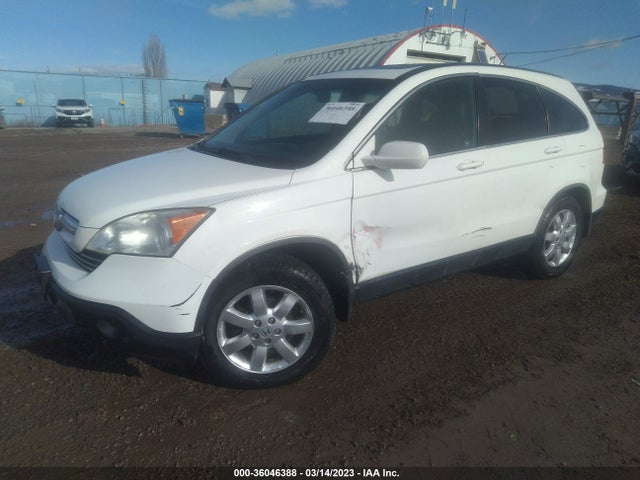 2008 HONDA CR-V EX-L VIN: JHLRE48758C076232