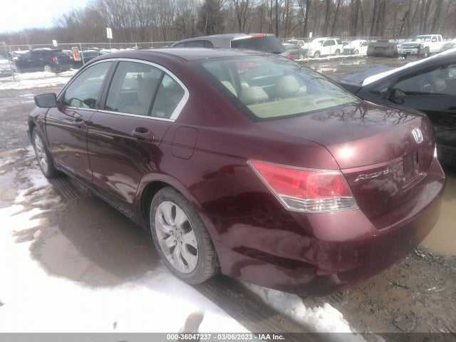 2010 HONDA ACCORD SDN EX VIN: 1HGCP2F75AA005796