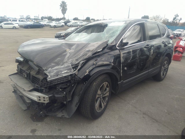 Honda CR-V LX 2020 5J6RW1H25LA002577 Image 2