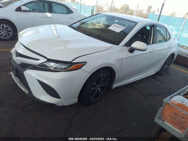 2019 Toyota Camry, VIN: 4T1B11HK4KU720247