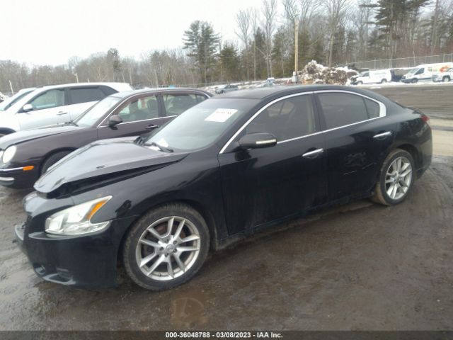 1N4AA5AP8AC836400 Nissan Maxima 3.5 Sv