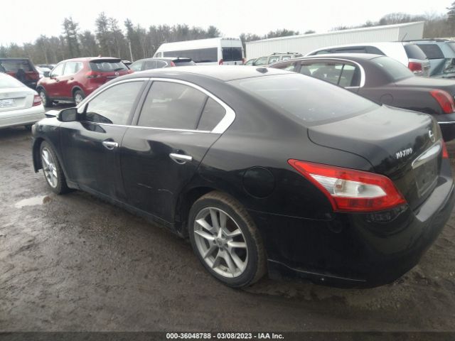 1N4AA5AP8AC836400 Nissan Maxima 3.5 Sv