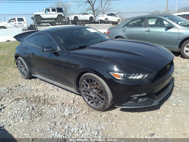 2015 1FA6P8TH6F5306840 main image