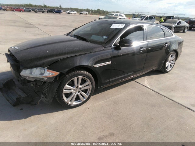2011 JAGUAR XJ SAJWA2GB3BLV01428 Photo 1