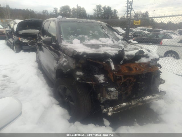 2022 Land Rover Discovery, VIN: SALCJ2FX9NH912525