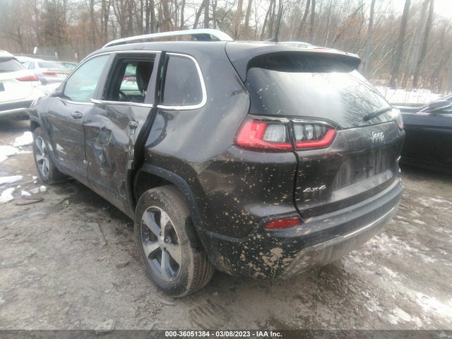 2020 JEEP CHEROKEE LIMITED VIN: 1C4PJMDX0LD618605