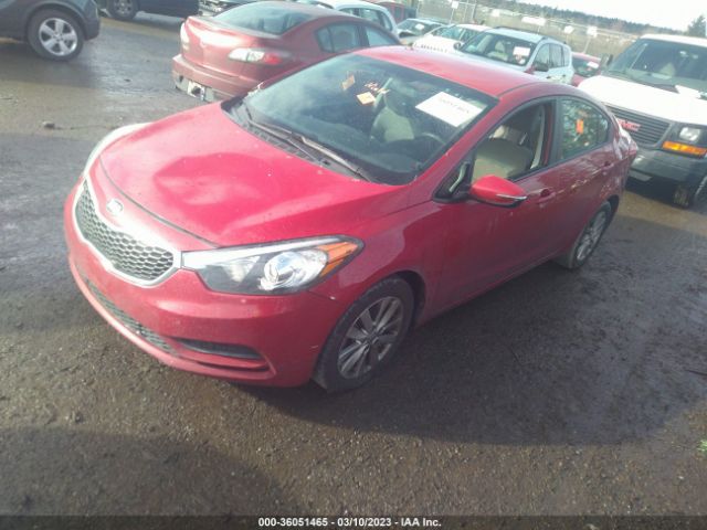 KNAFX4A65G5558596 KIA FORTE LX