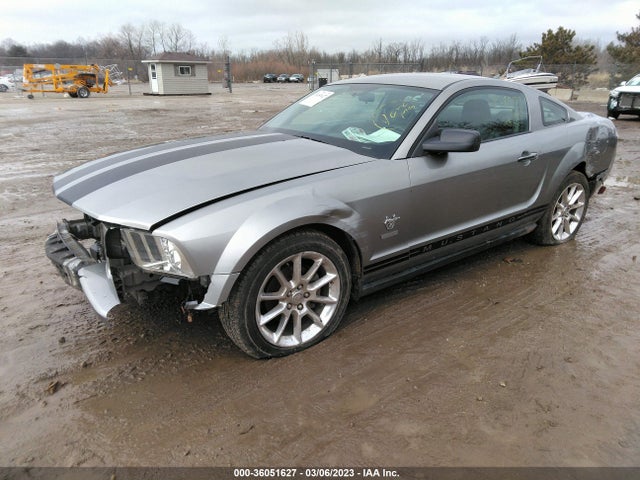 2009 FORD MUSTANG VIN: 1ZVHT80N895112272