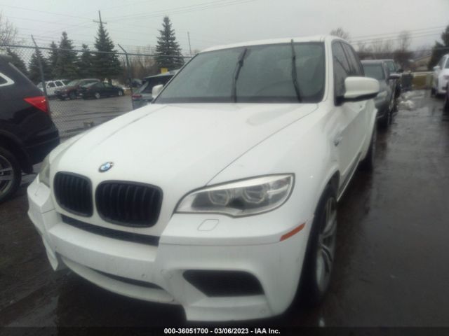 5YMGY0C59D0C11650 BMW X5 M