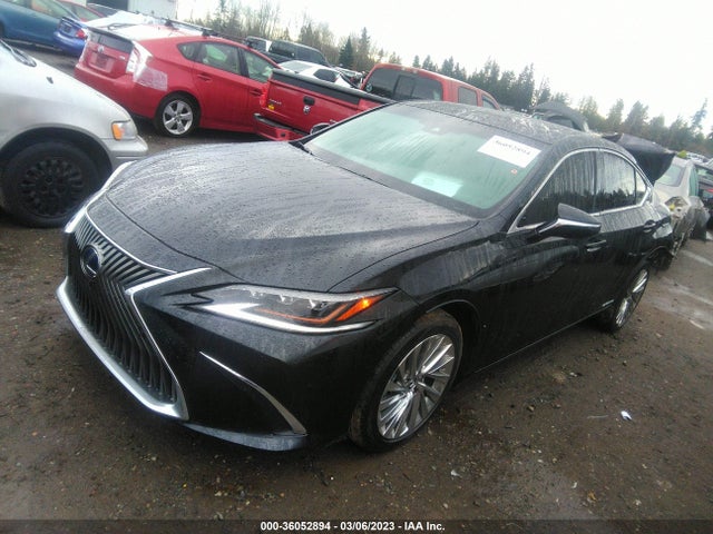 58AEA1C14MU011518 Lexus Es Es 300h Luxury