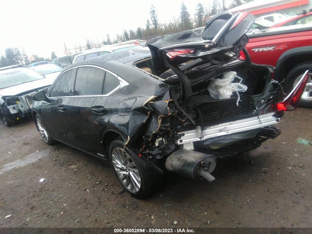 58AEA1C14MU011518 Lexus Es Es 300h Luxury