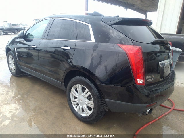 Cadillac Srx Luxury Collection 2010 3GYFNAEY8AS522248 Image 3