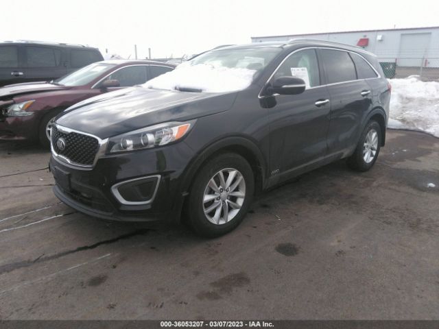 5XYPGDA30GG111176 KIA SORENTO LX