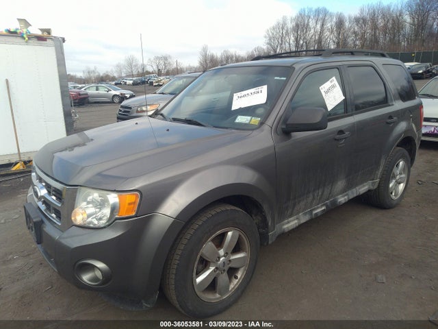 2010 FORD ESCAPE XLT VIN: 1FMCU9D74AKC07294