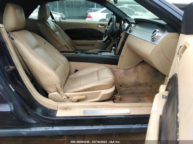 2005 FORD MUSTANG DELUXE/PREMIUM VIN: 1ZVFT84N855236280