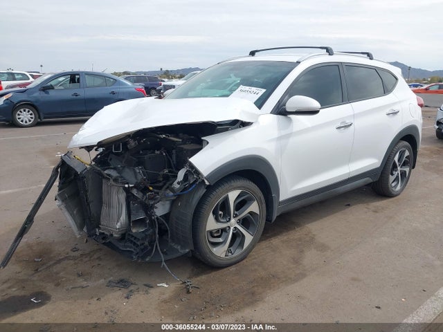 Hyundai Tucson Limited 2016 KM8J33A29GU157067 Image 2