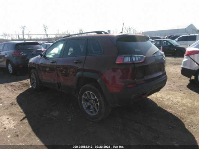 1C4PJMBX8LD520229 Jeep Cherokee Trailhawk
