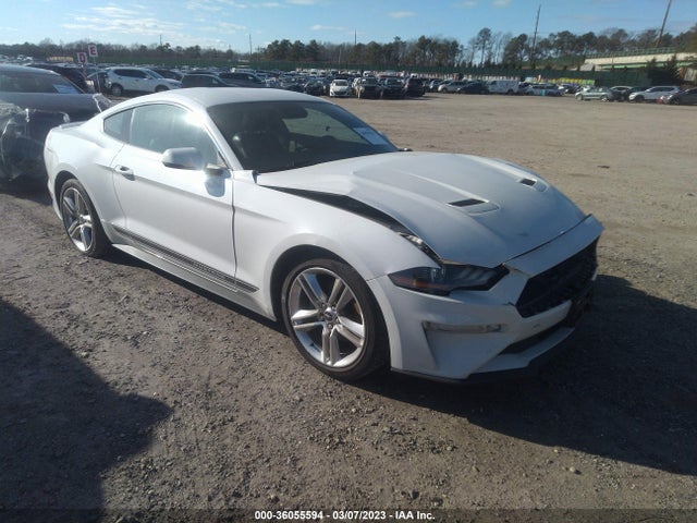 2019 Ford Mustang, VIN: 1FA6P8TH8K5198814