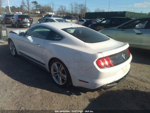 2019 Ford Mustang, VIN: 1FA6P8TH8K5198814