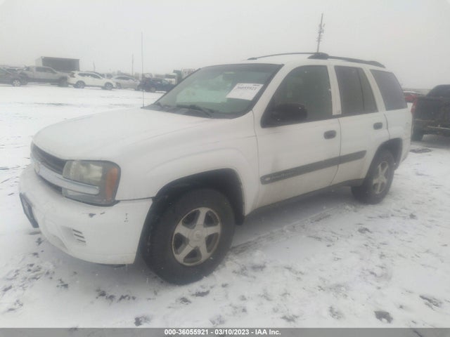 Chevrolet Trailblazer Ls 2004 1GNDT13S042245345 Image 2