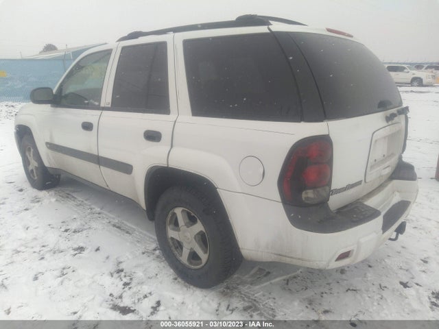 Chevrolet Trailblazer Ls 2004 1GNDT13S042245345 Image 4