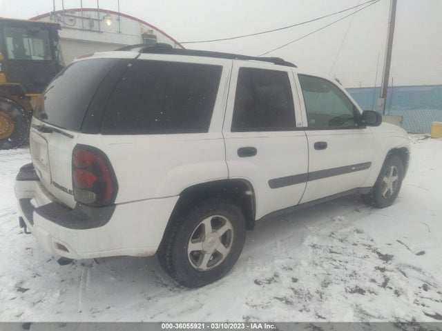 Chevrolet Trailblazer Ls 2004 1GNDT13S042245345 Image 5