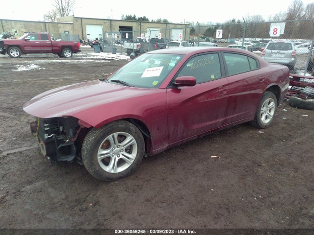 Dodge Charger Sxt 2019 2C3CDXBG7KH743567 Image 2