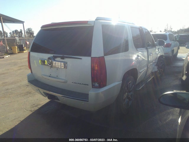 2008 CADILLAC ESCALADE VIN: 1GYEC63838R177760