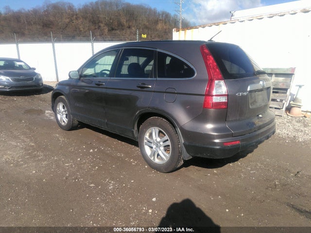 2010 HONDA CR-V EX-L VIN: 5J6RE4H74AL100565