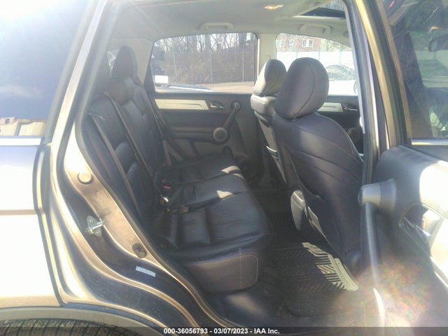 2010 HONDA CR-V EX-L VIN: 5J6RE4H74AL100565