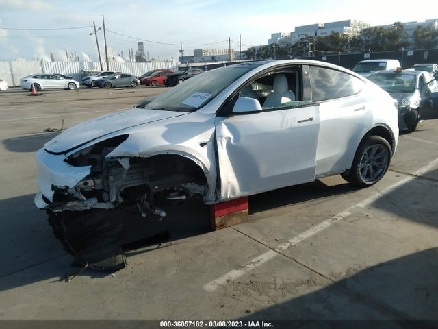 5YJYGDEE3MF174338 Tesla Model Y Long Range