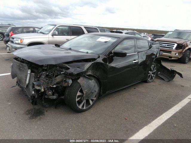 1N4AA6AP5HC378251 Nissan Maxima Sv/s/sl/sr/platinum