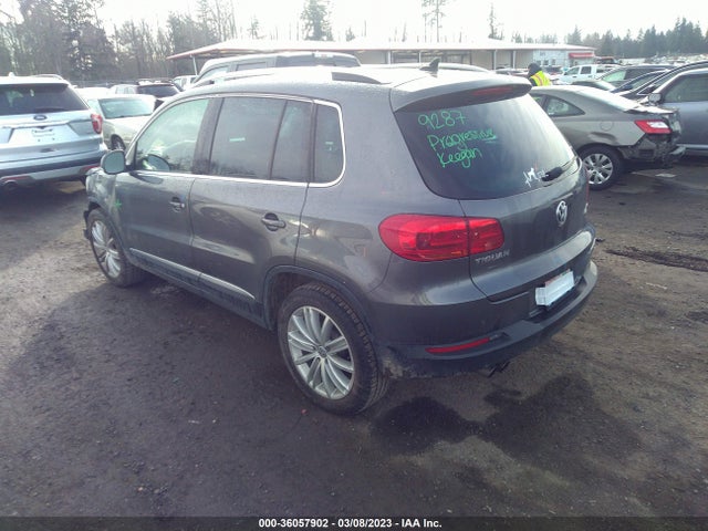 WVGBV3AX9EW511651 Volkswagen Tiguan Sel