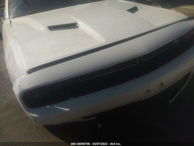 Dodge Challenger Sxt 2015 2C3CDZAGXFH843391 Image 10