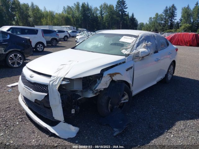 5XXGT4L34JG196026 KIA Optima Lx