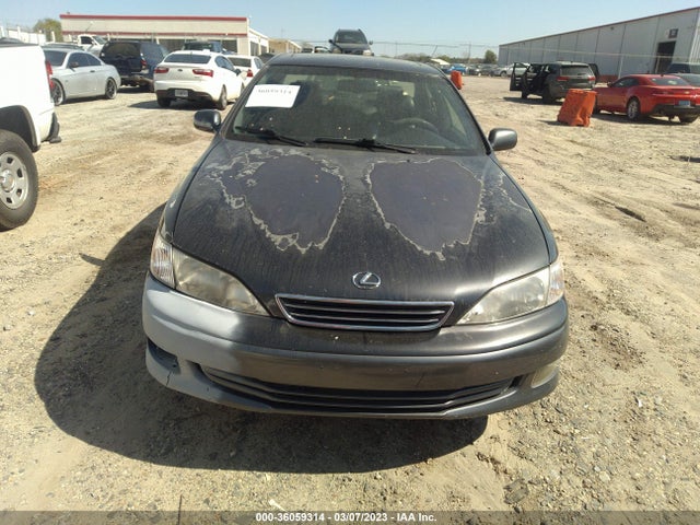 Lexus ES 300 2000 JT8BF28G6Y5077697 Image 7