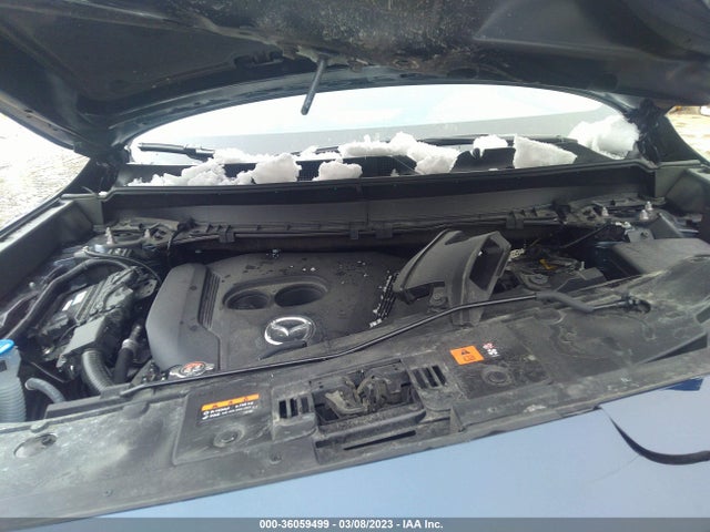 2022 Mazda CX-9, VIN: JM3TCBAYXN0622785