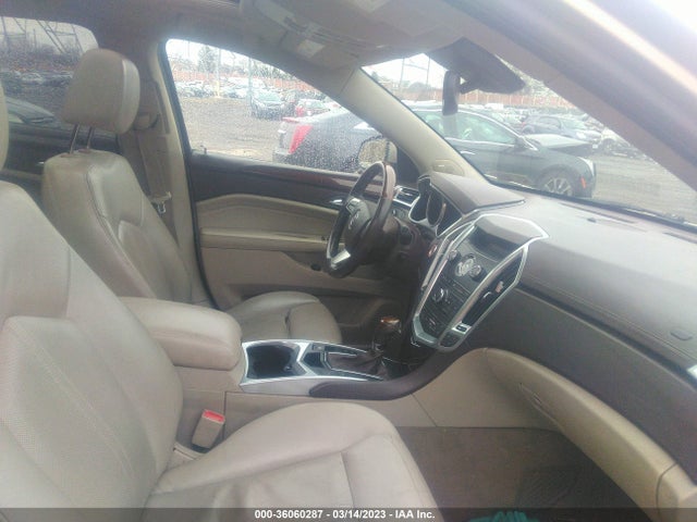 Cadillac Srx Luxury Collection 2010 3GYFNDEY5AS501729 Image 6