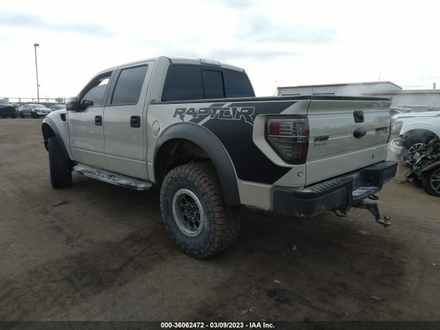 2013 FORD F-150 SVT RAPTOR VIN: 1FTFW1R64DFD02383