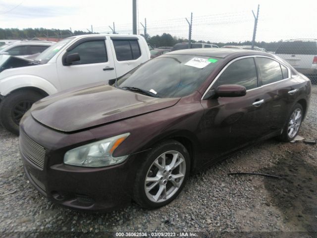 1N4AA5AP1EC486002 Nissan MAXIMA 3.5