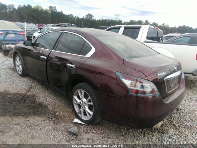 1N4AA5AP1EC486002 Nissan MAXIMA 3.5