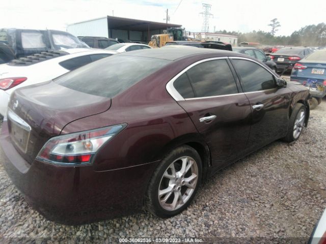 1N4AA5AP1EC486002 Nissan MAXIMA 3.5