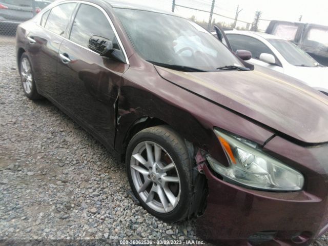 1N4AA5AP1EC486002 Nissan MAXIMA 3.5