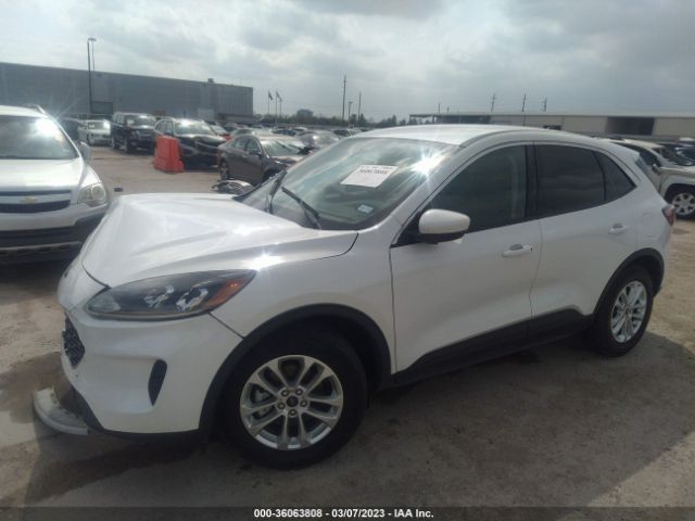 1FMCU0G62LUC13178 Ford ESCAPE SE