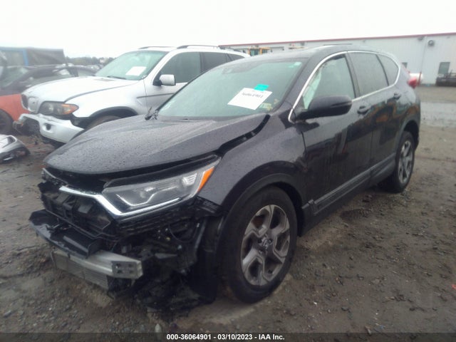 Honda CR-V EX 2019 5J6RW1H59KA023411 Image 2