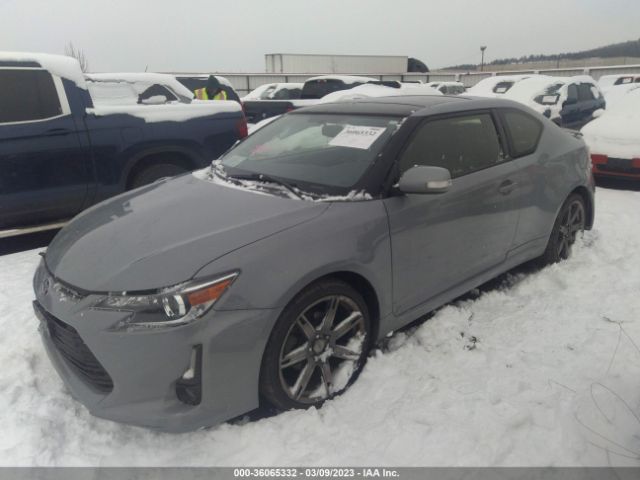 JTKJF5C72FJ005981 Scion TC