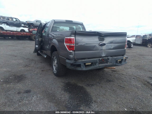 2010 FORD F-150 XL/STX/XLT/FX2 SPORT VIN: 1FTEX1C84AKE38101
